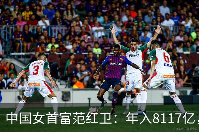 中国女首富范红卫：年入8117亿，超华为成第3民企，资金从哪来？