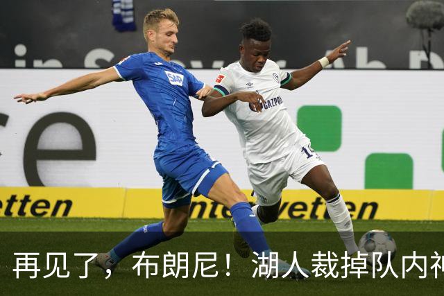 再见了，布朗尼！湖人裁掉队内神射克内克特