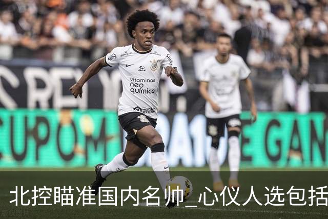 北控瞄准国内名帅 心仪人选包括闵鹿蕾王非等