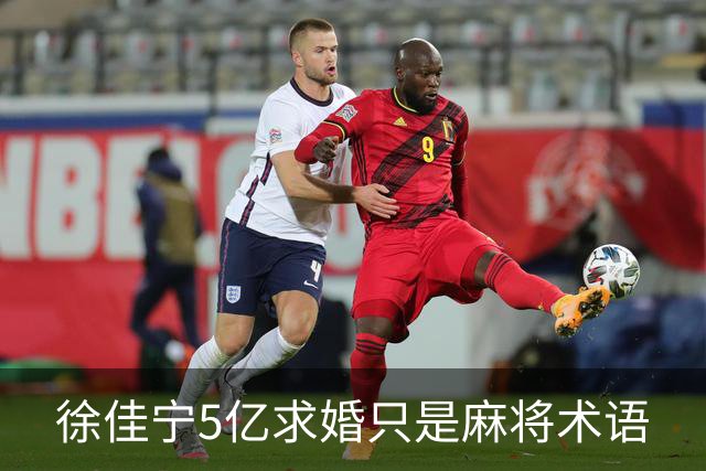 徐佳宁5亿求婚只是麻将术语
