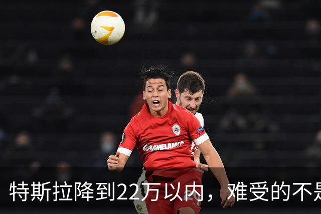 特斯拉降到22万以内，难受的不是对手，是上个月刚提车的人