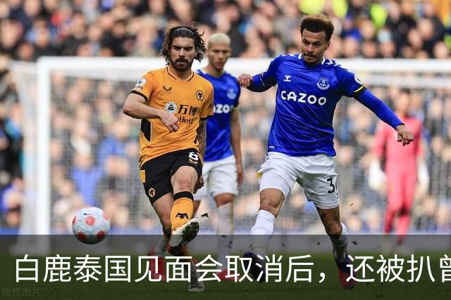 白鹿泰国见面会取消后，还被扒曾为缅北拍宣传片，知情人爆料更多