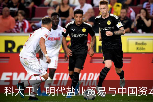 科大卫：明代盐业贸易与中国资本主义萌芽