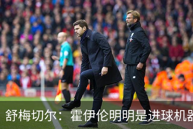 舒梅切尔：霍伊伦明明是进球机器，维韦尔来了偏要换成谢什科