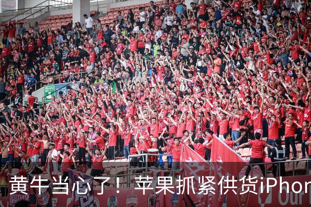 黄牛当心了！苹果抓紧供货iPhone Duo 用户们晒订单：有人提前2个多月